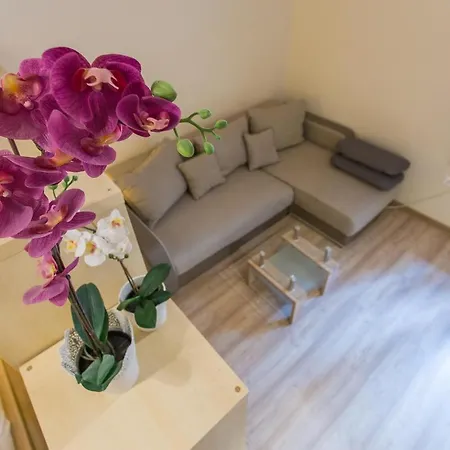 Apartman Yo Pauley! *